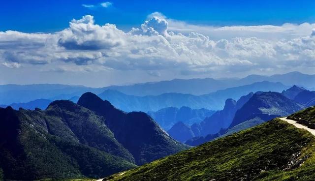 【环！！！可挛髌鹁⒄吻亓氡甭次靼簿衬谖ソū鹗(组图)